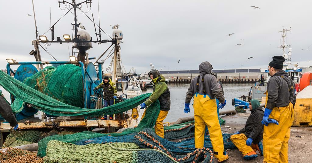 Fishing jobs added to occupation shortage list News World Fishing