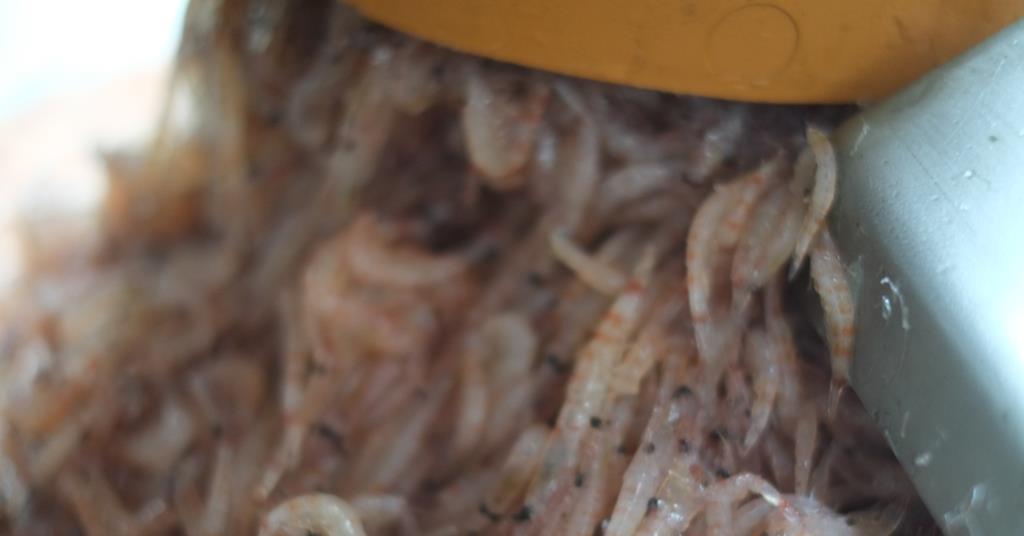 Krill oil extraction technology now available for other species News