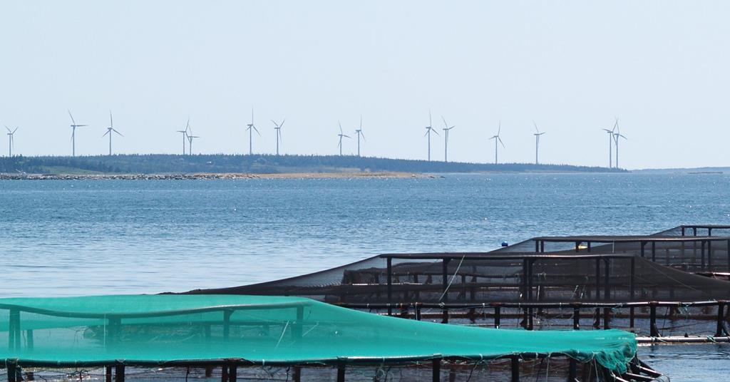 Nova Scotia to develop new aquaculture regulations News World Fishing