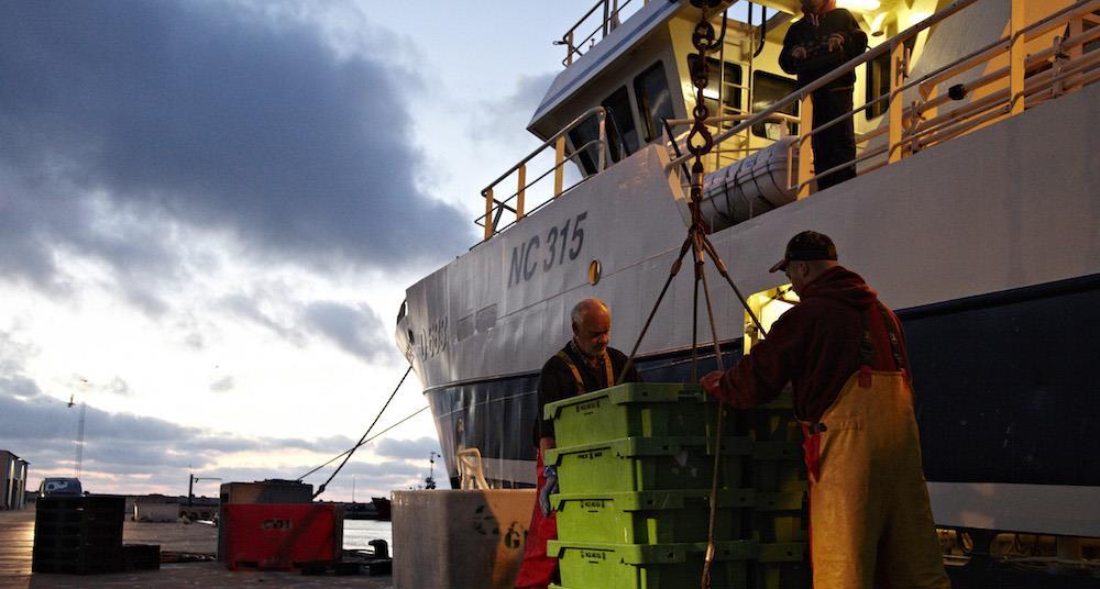 Hanstholm expansion nears completion News World Fishing