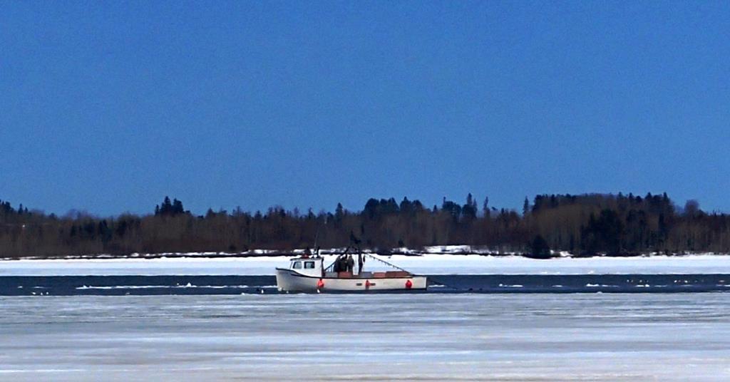 PEI mussel industry back to full production News World Fishing