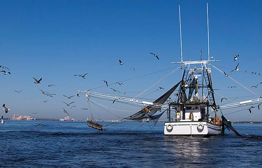trawl-fishers-endangered-news-world-fishing