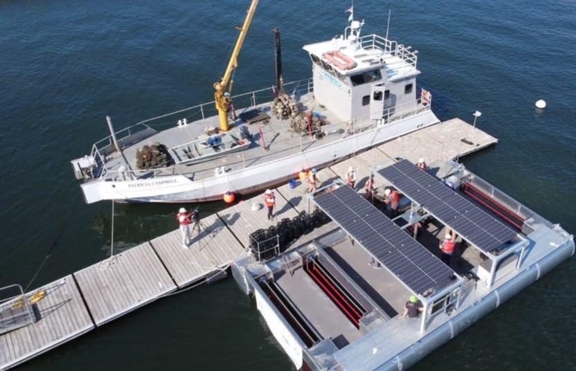 Bringing new oyster farming equipment to the market | News | World Fishing