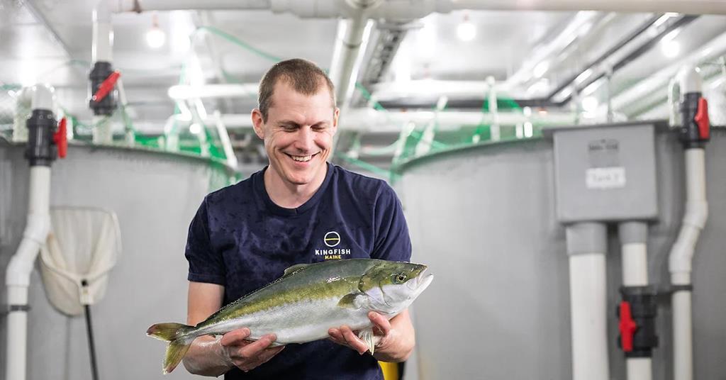 Kingfish Maine Permits Upheld News World Fishing