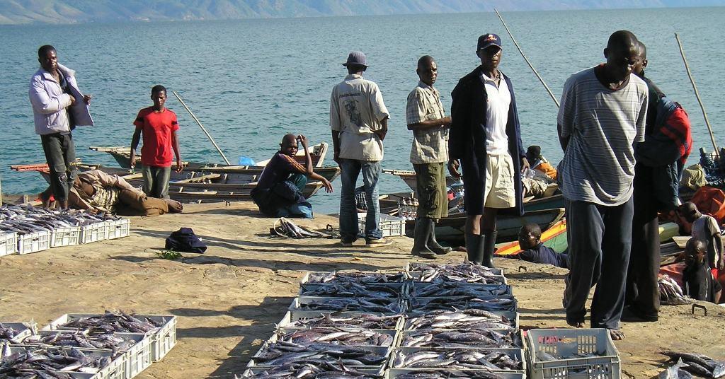 New Zambian fish farm development project News World Fishing