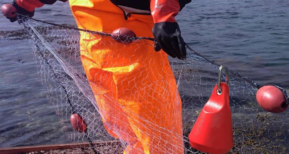 Transponder tags fishing gear, News