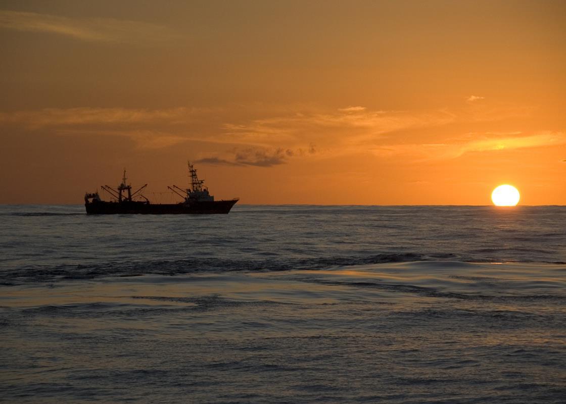 World Fisheries: are we managing an effective decline? | News | World