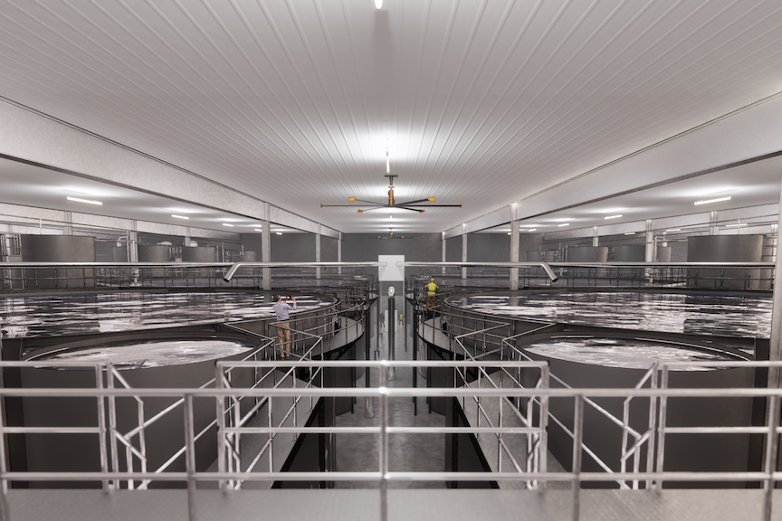 SFP sets its sights on landbased aquaculture News World Fishing