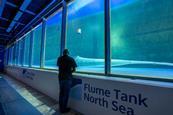 Flume Tank