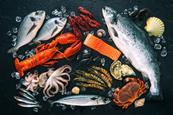 EU seafood imports