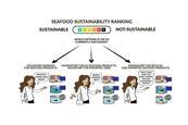 Graphic showing how consumers might determine the sustainability of their seafood to promote transparent labelling