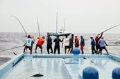 Pole and line fishing