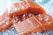 Scottish salmon