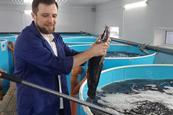 Sturgeon farming