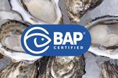 Yumbah Aquaculture BAP