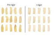The image compares discoloured fish frozen too early to fish frozen post rigor mortis