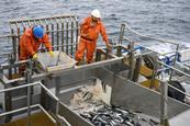Chile fisheries