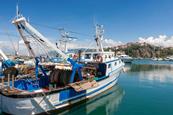 Fishing trawler moored in harbour, Agropoli, Campania, Italy
