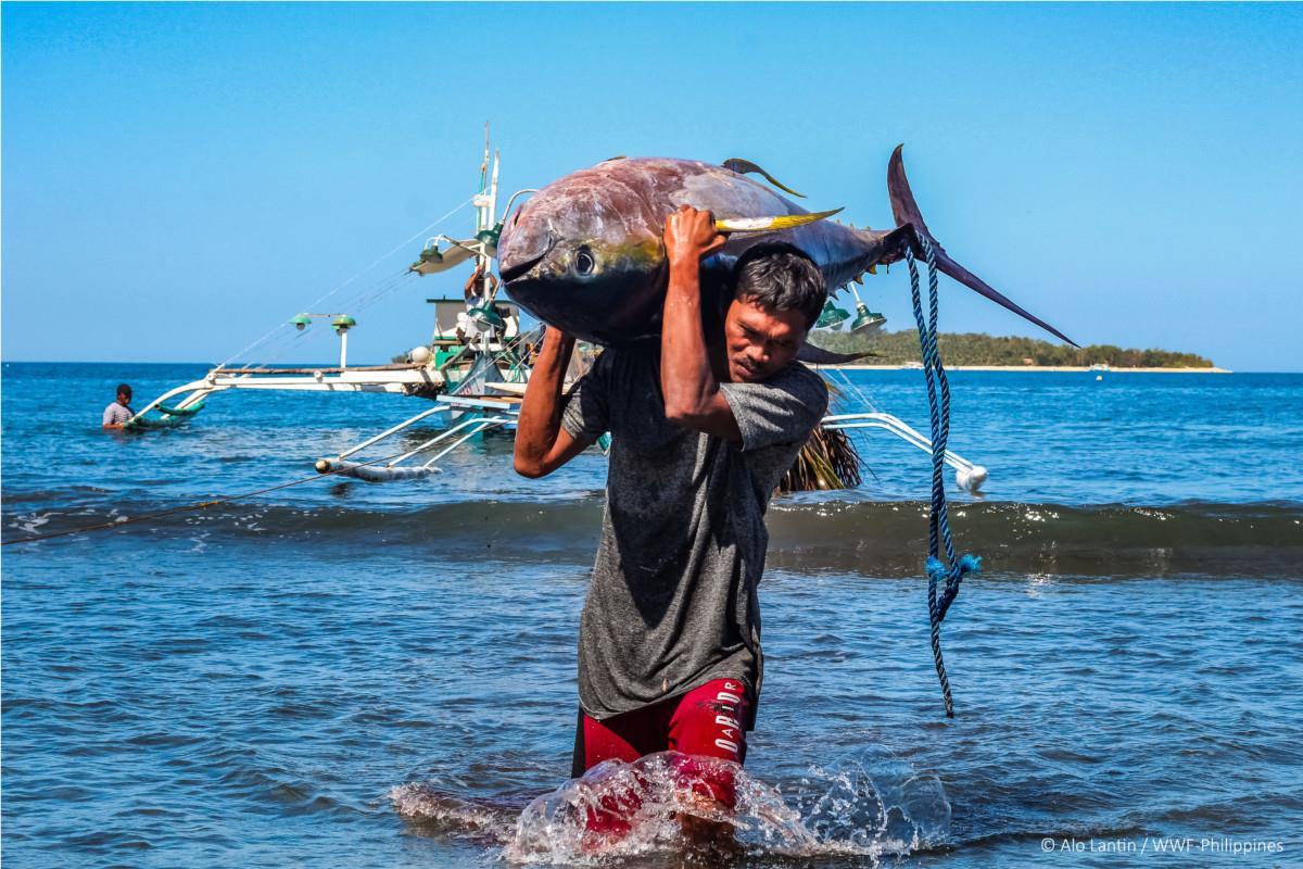 WWF-Philippines  5 Steps to Keep Our Food Safe