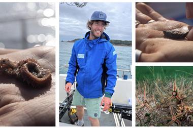 Dr Ben Harris, University of Exeter, and Brittle Star