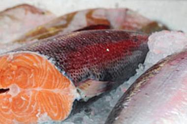 Salmon sales