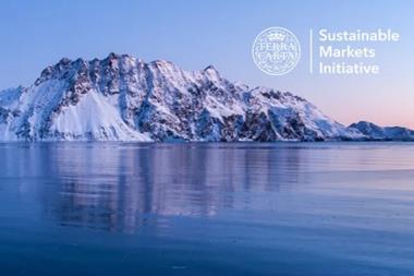 A picture of the Sustainable Markets Initiative