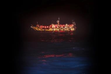 EJF Squid Report 2026