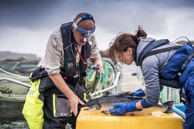 Salmon Scotland tech