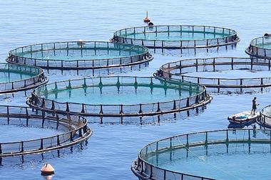 Fish farm
