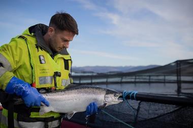 Scottish salmon farming