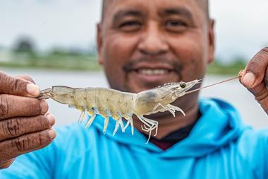 A farmer in Ecuador holds a shrimp
