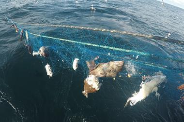 CleanUp.blaakveite-garn-tokt-2023-1