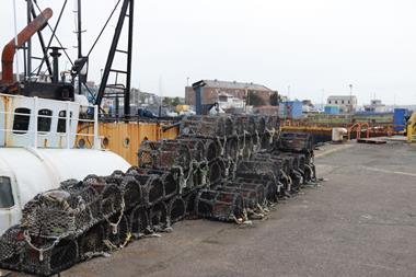 Pots stacked at  the harbour in Milford Haven, Wales