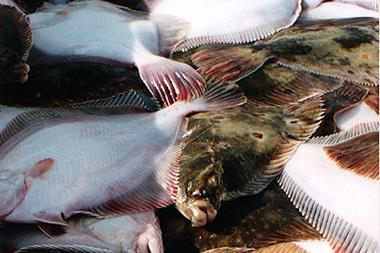 Icelandic fisheries