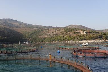 Offshore Farming - No Longer a Novelty