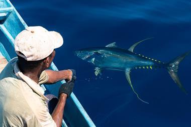 IPNLF handlining yellowfin