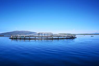 Scottish salmon farm