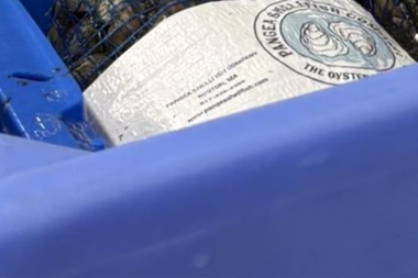 Part of a Saeplast fish box