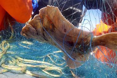 Biogarn.hirtshals-havn