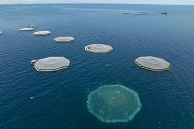 Innovasea aerial-view-submersible-pens