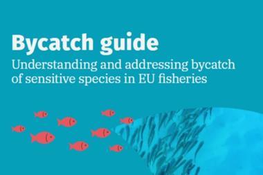 Seas At Risk Bycatch Guide