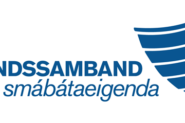 LS logo