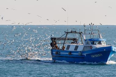Mediterranean fishing