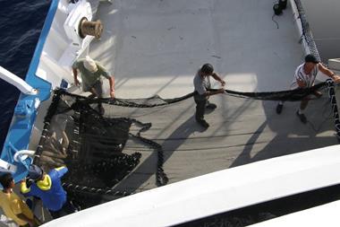 ISSF Reviews WCPFC 2025 Outcomes