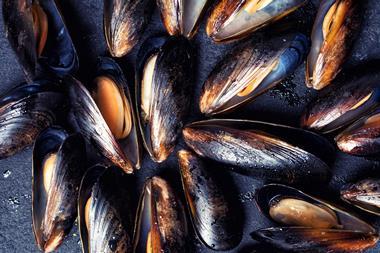 Mussels