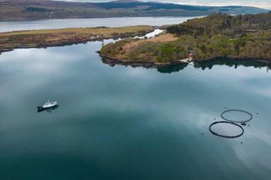 An overhead shot of salmon farming operation