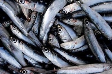 New regulations governing the management of the northern subpopulation of northern anchovy are illegal