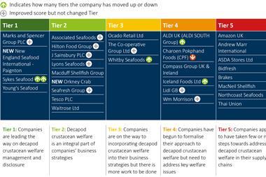 The Snapshot Tier Graph