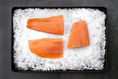 3 salmon fillets on ice