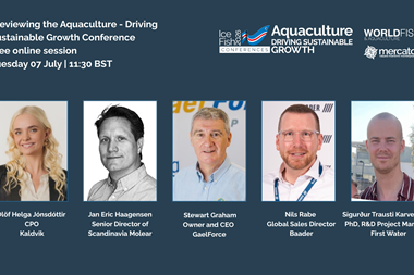 IceFish conf expo session images